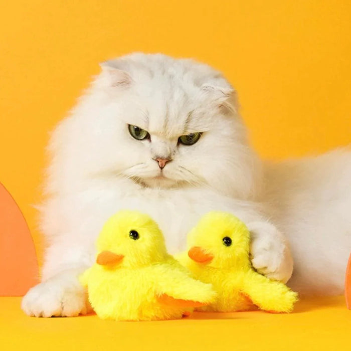Cat rubber best sale duck